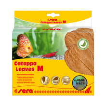 將圖片載入圖庫檢視器 Sera Catappa Leaves 卡塔帕葉 S (10-15cm) 10 pcs
