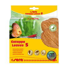 將圖片載入圖庫檢視器 Sera Catappa Leaves 卡塔帕葉 S (10-15cm) 10 pcs
